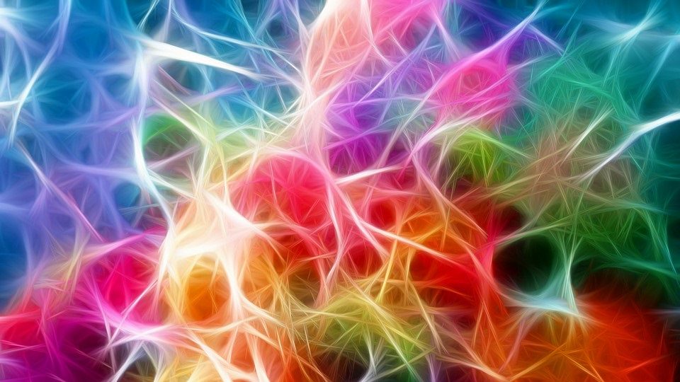 Neuroplasticité: le mythe des dates de péremption cérébrales