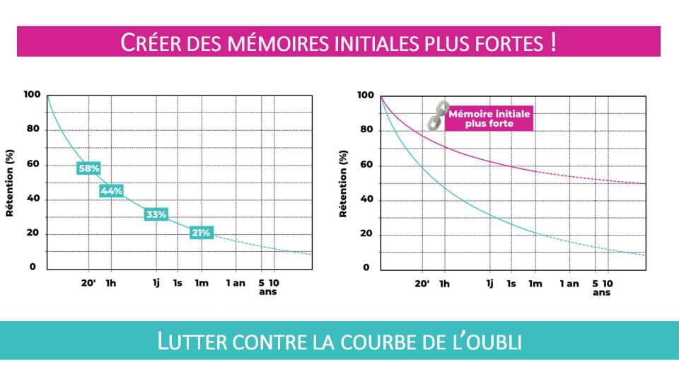 La première façon de lutter contre la courbe de l'oubli : créer des mémoires initiales plus fortes pour l'information que l'on cherche à retenir