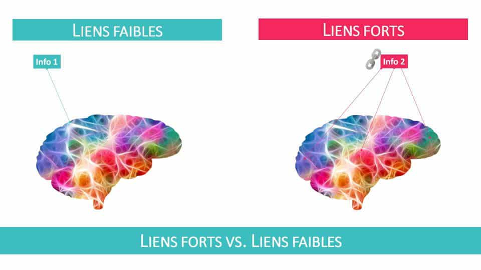 Mémorisation : l'étape d'encodage de l'information dans votre cerveau est cruciale!