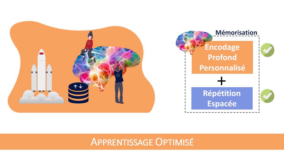 La stratégie optimale pour mémoriser efficacement