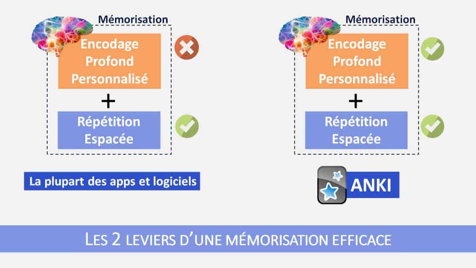 La plupart des applications qui nous sont proposées n'adressent qu'une partie du processus de mémorisation. Pas Anki!