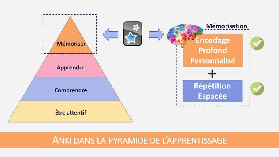 Anki est un outil exceptionnel pour doper votre pouvoir de mémorisation, mais il ne dispense pas des étapes de compréhension et d'apprentissage de l'information