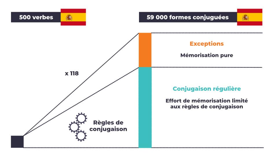 Nombre de mots racines versus nombre de mots total