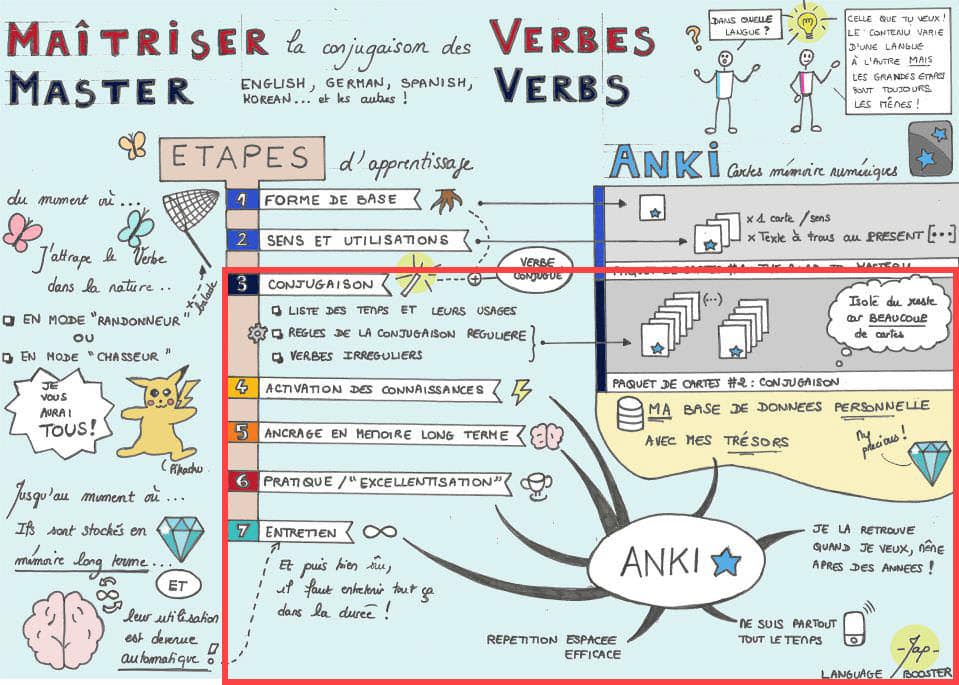 Périmètre de la formation Memory Training