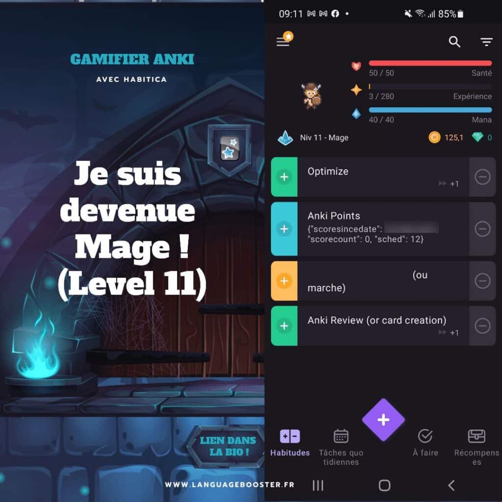 Gamification Anki Habitica Level 1